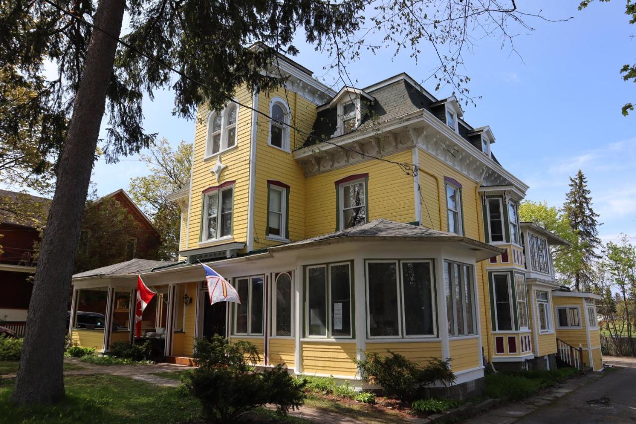 ガナノクエ Pangea House Bed & Breakfast エクステリア 写真